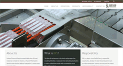 Desktop Screenshot of hudsonpharma.com
