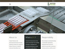 Tablet Screenshot of hudsonpharma.com